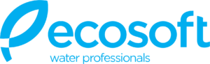 ecosoft_logo